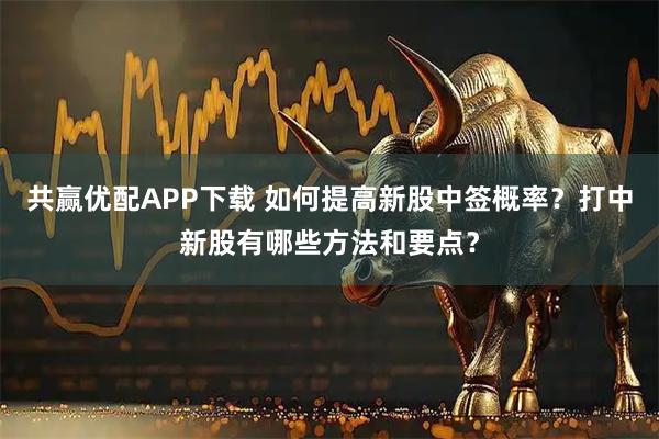 共赢优配APP下载 如何提高新股中签概率？打中新股有哪些方法和要点？